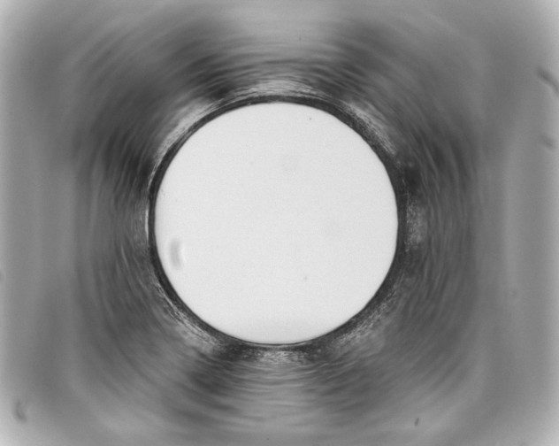 X0000098091322200804181225
