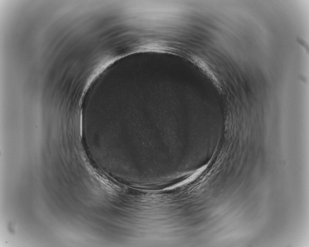 X0000098091323200804181225