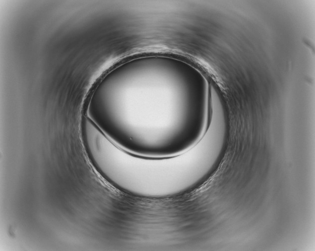 X0000098091326200804181225