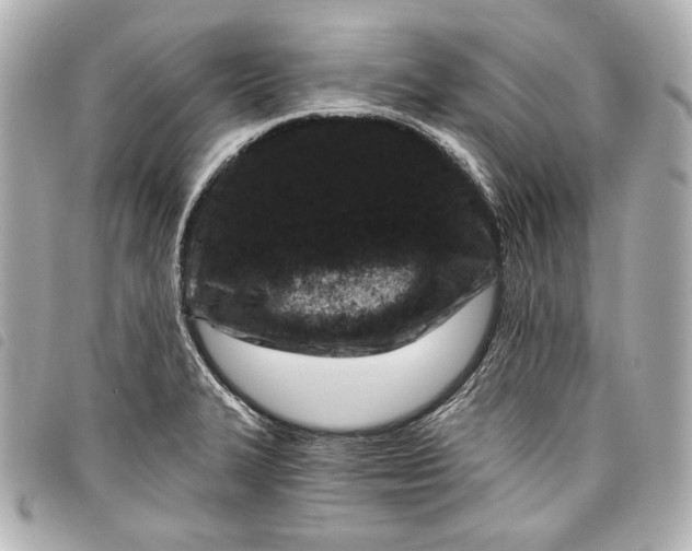 X0000098091327200804181225