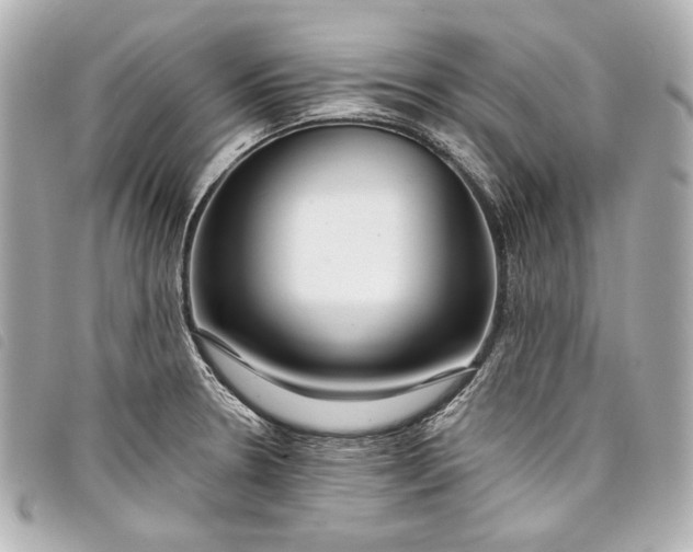X0000098091330200804181225