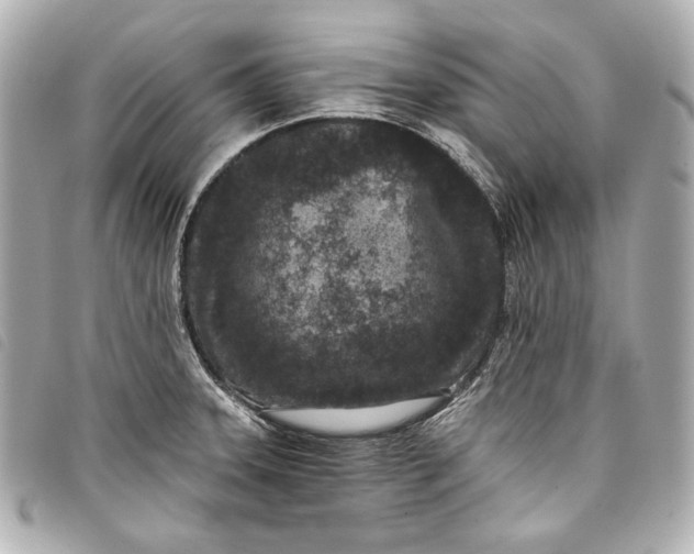 X0000098091331200804181225