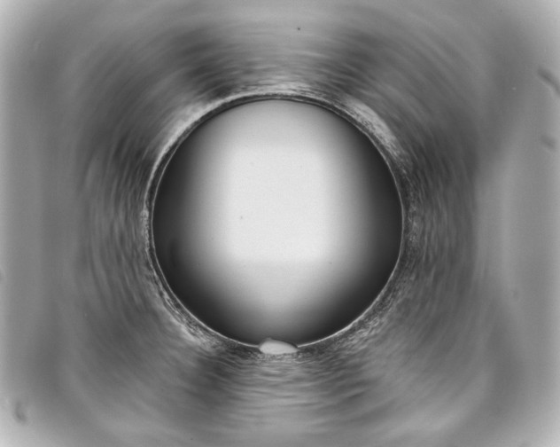 X0000098091332200804181225