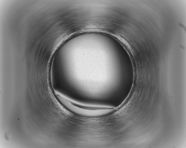 X0000098091333200804181225