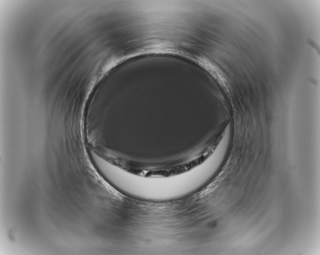 X0000098091334200804181225