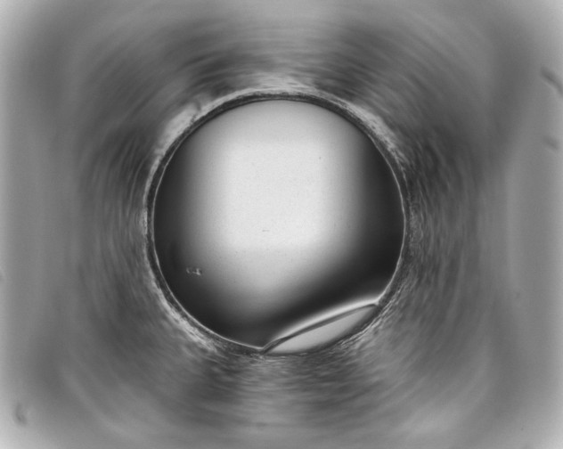 X0000098091335200804181225