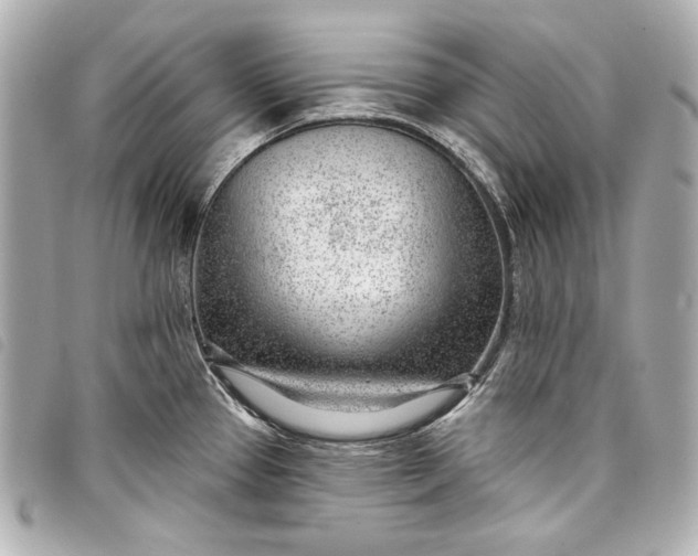 X0000098091337200804181225