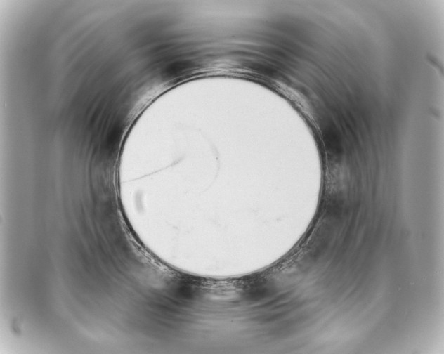 X0000098091338200804181225