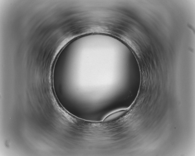X0000098091339200804181225