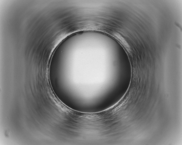X0000098091340200804181225