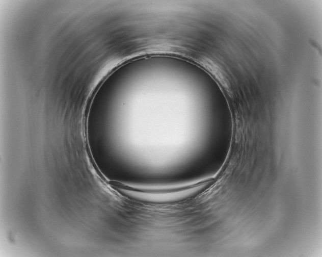 X0000098091342200804181225