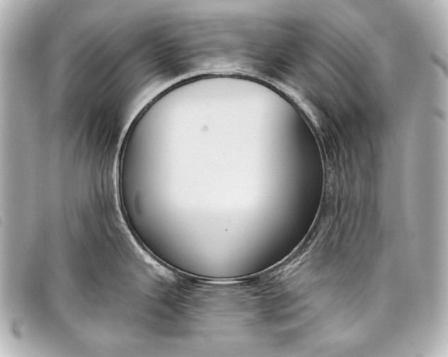 X0000098091343200804181225