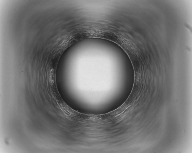 X0000098091346200804181224