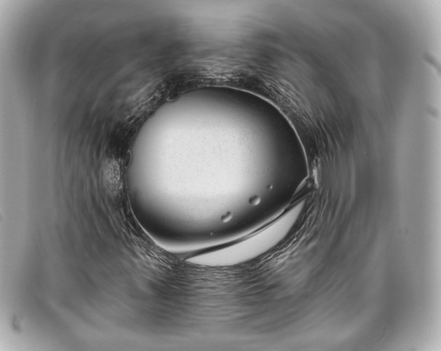X0000098091347200804181224