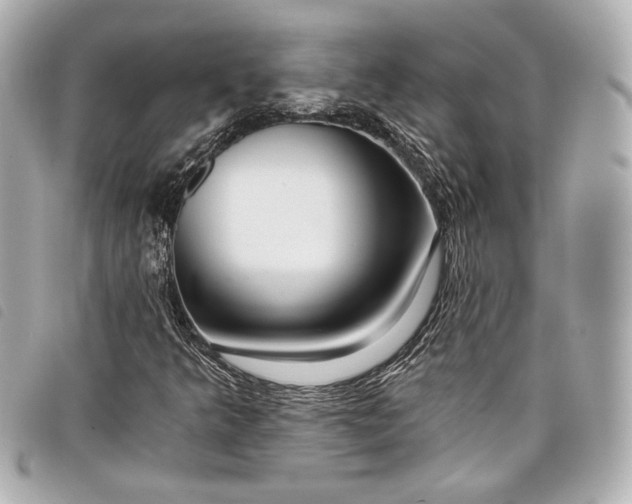 X0000098091349200804181224