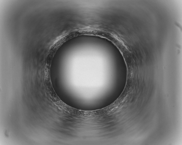 X0000098091350200804181224