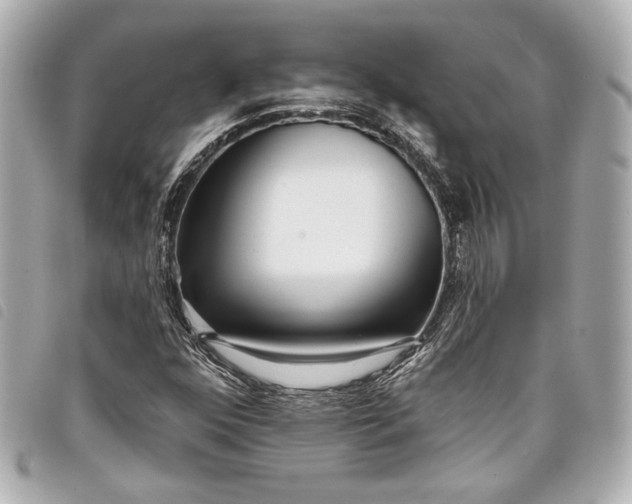 X0000098091352200804181224