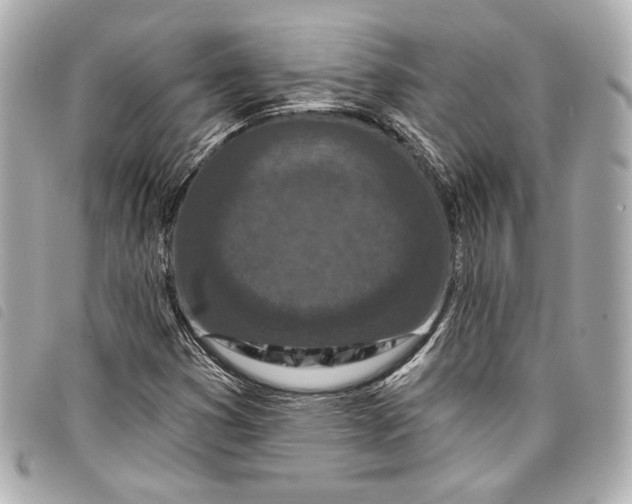 X0000098091353200804181224