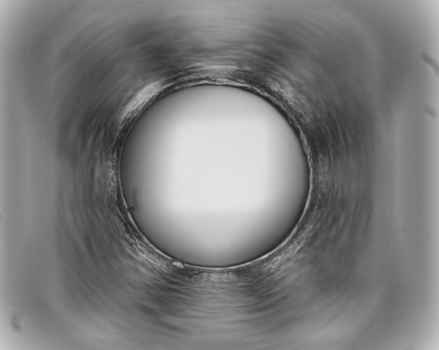 X0000098091354200804181224