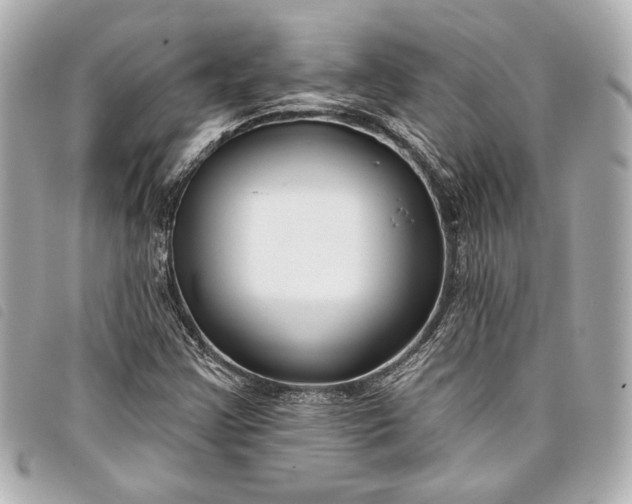 X0000098091355200804181224