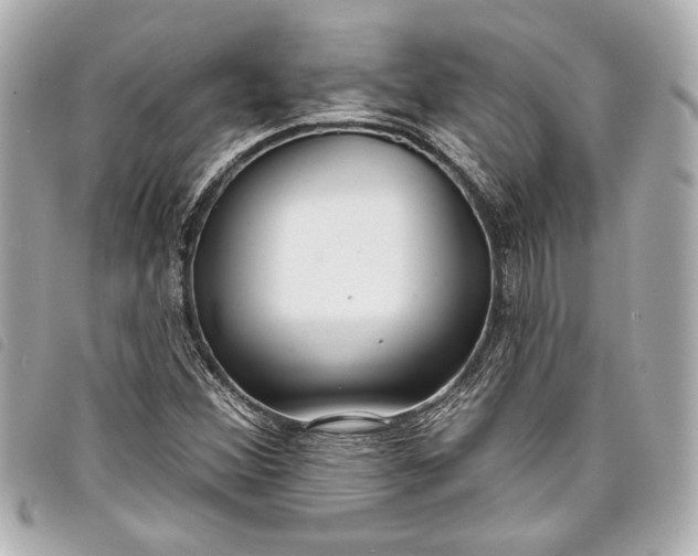 X0000098091356200804181224