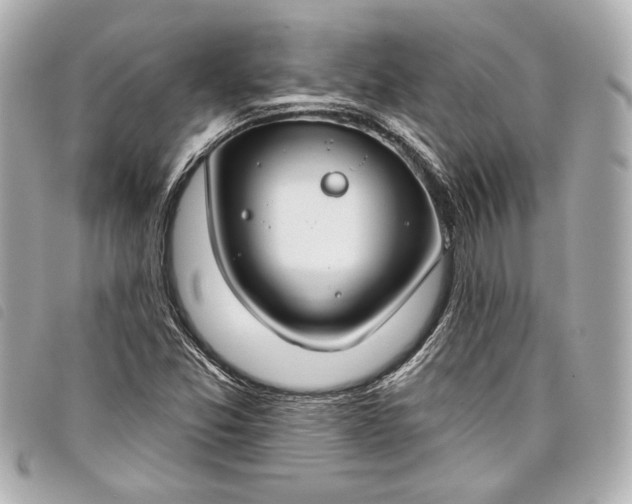 X0000098091357200804181224