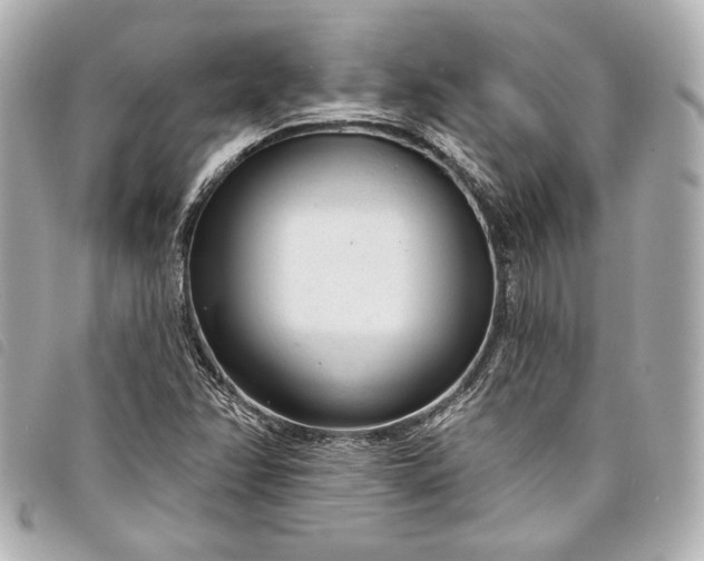 X0000098091358200804181224