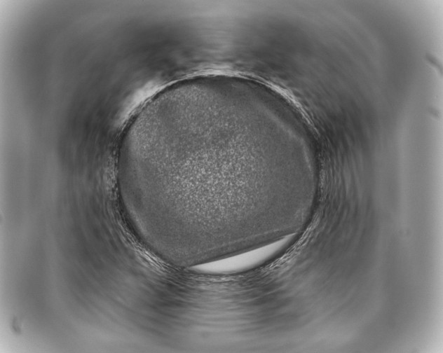 X0000098091359200804181224