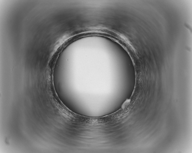 X0000098091360200804181224