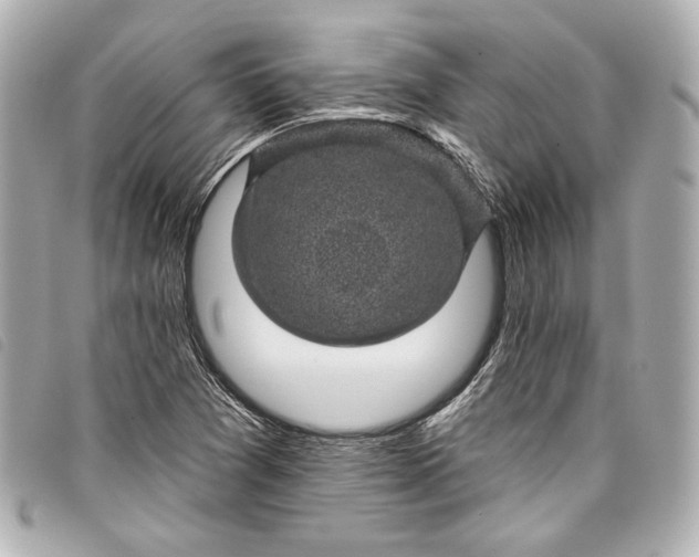 X0000098091361200804181224