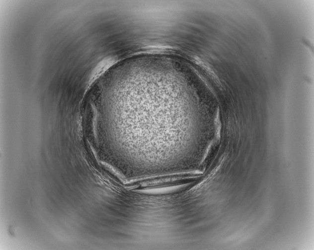 X0000098091362200804181224