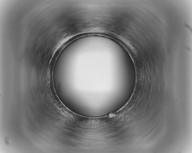 X0000098091364200804181224