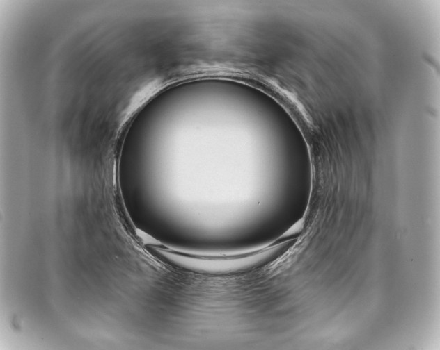 X0000098091365200804181224