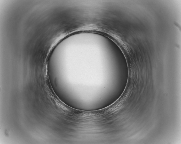 X0000098091366200804181224