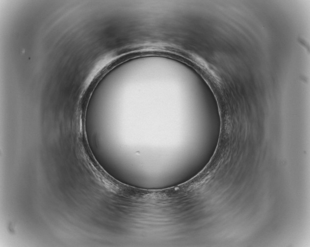 X0000098091368200804181224