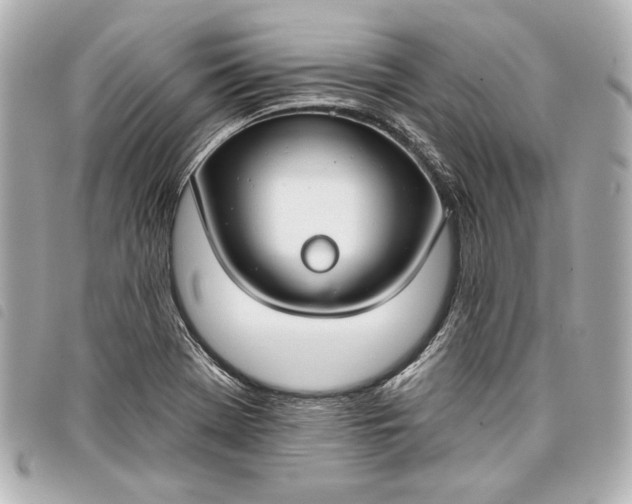 X0000098091369200804181224