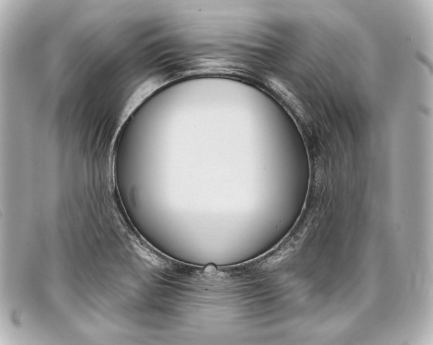 X0000098091370200804181224