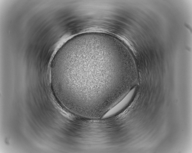 X0000098091371200804181224