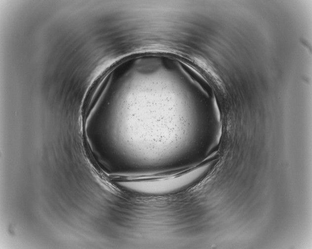 X0000098091372200804181224