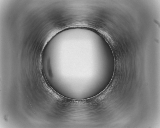 X0000098091374200804181224