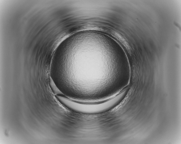 X0000098091377200804181224
