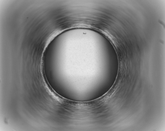 X0000098091379200804181224