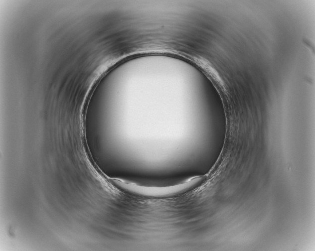 X0000098091380200804181224