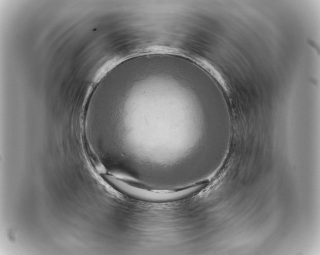 X0000098091381200804181224