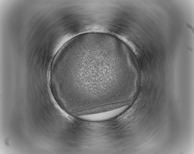 X0000098091383200804181224