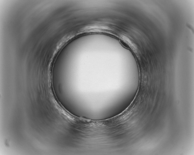 X0000098091384200804181224