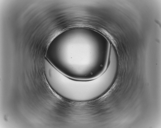 X0000098091385200804181224