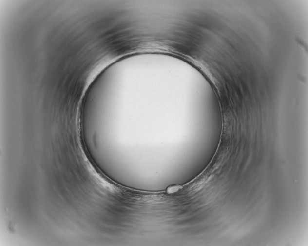 X0000098091387200804181224