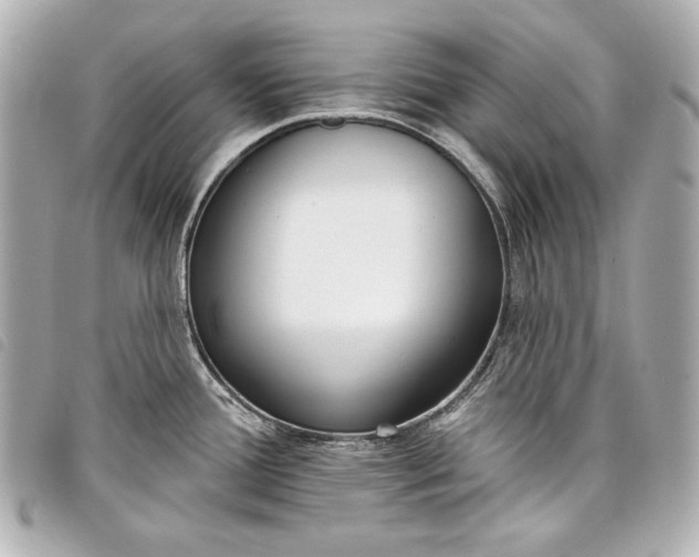 X0000098091388200804181224