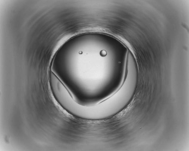 X0000098091389200804181224